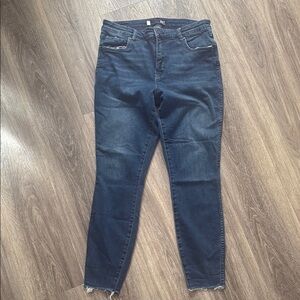 Kut from the Kloth Blue Skinny Jeans Modern Fit Fan Ab Ankle Skinny 12